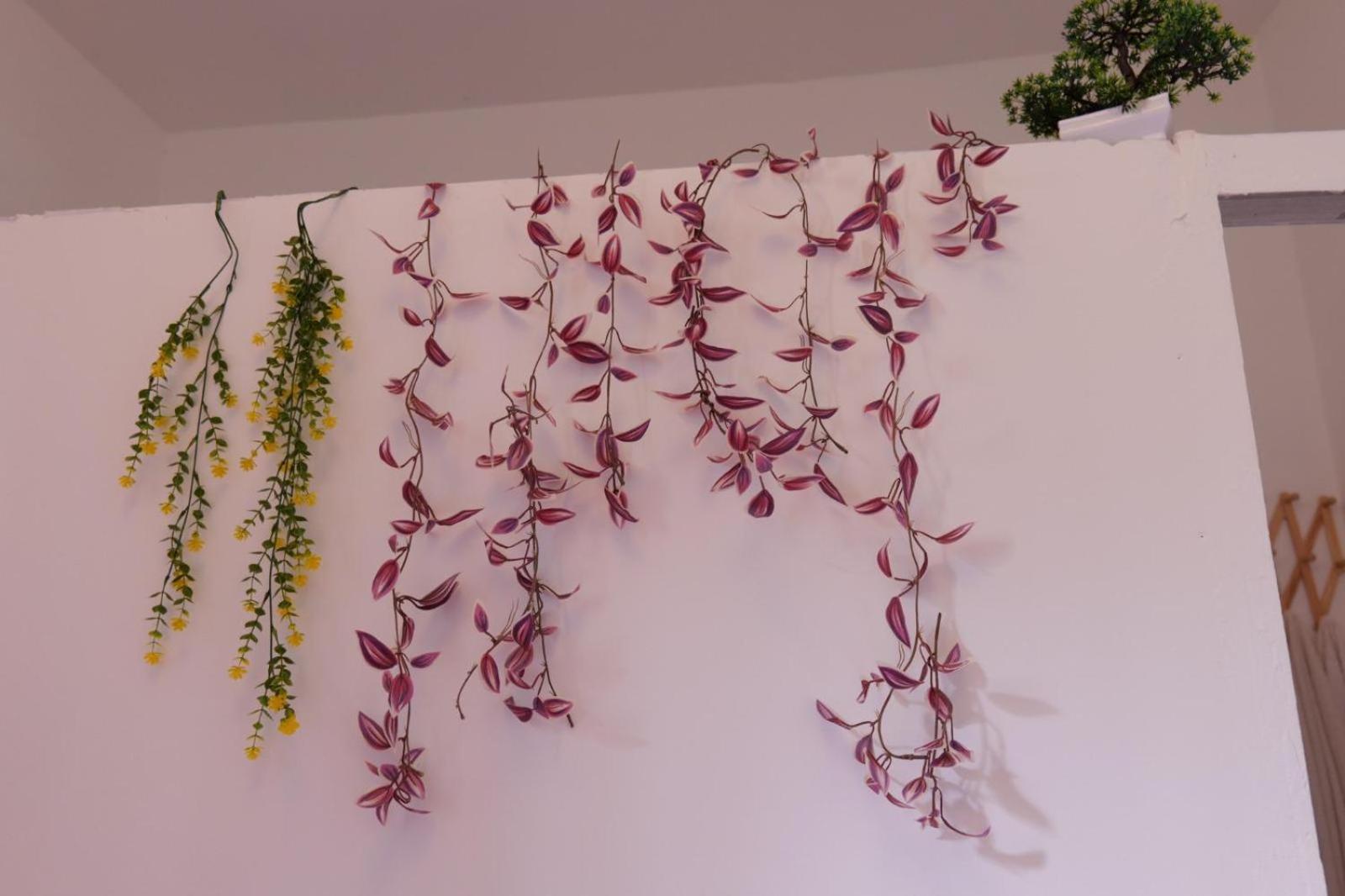 Tarrafal House 외부 사진